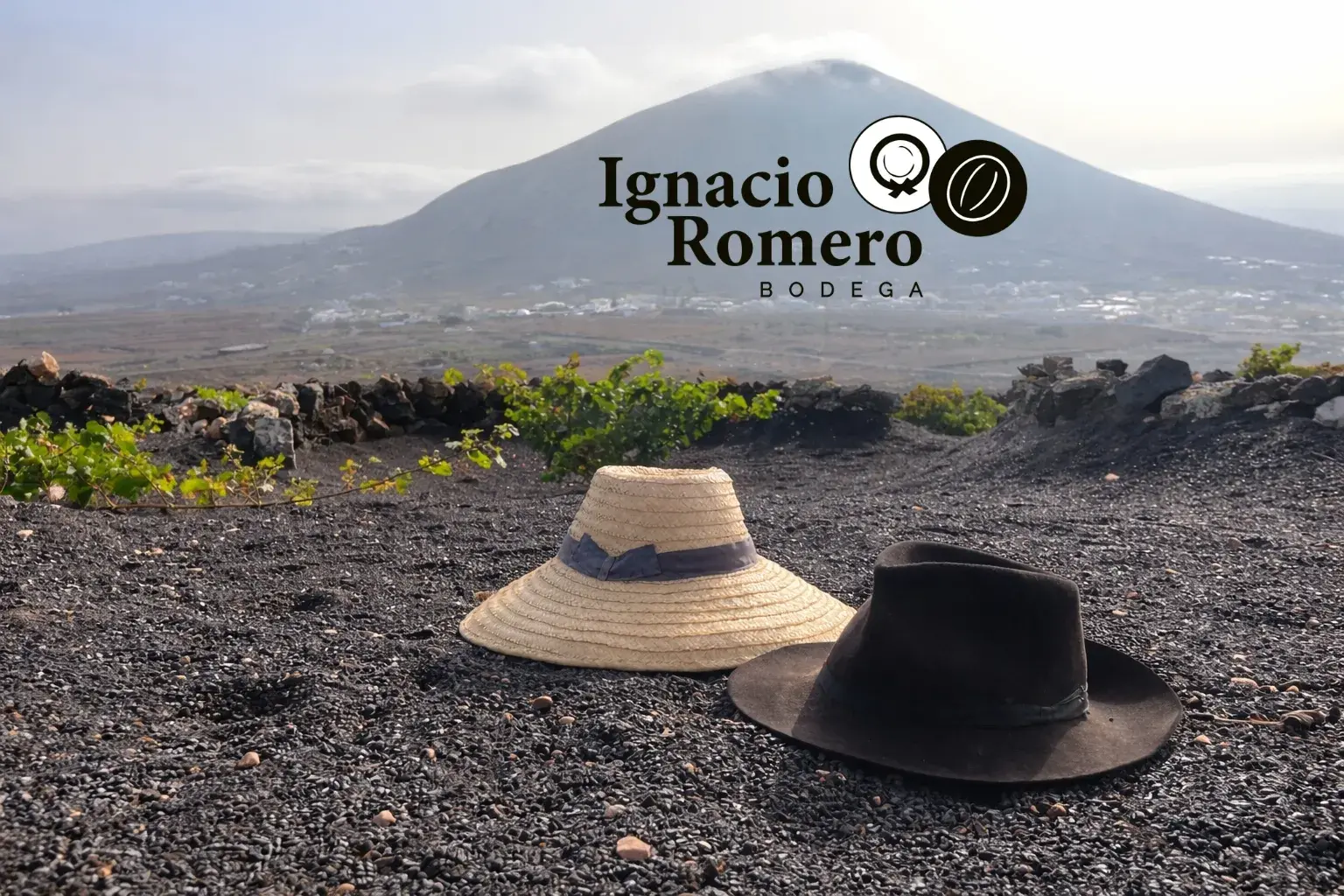 Bodega Ignacio Romero