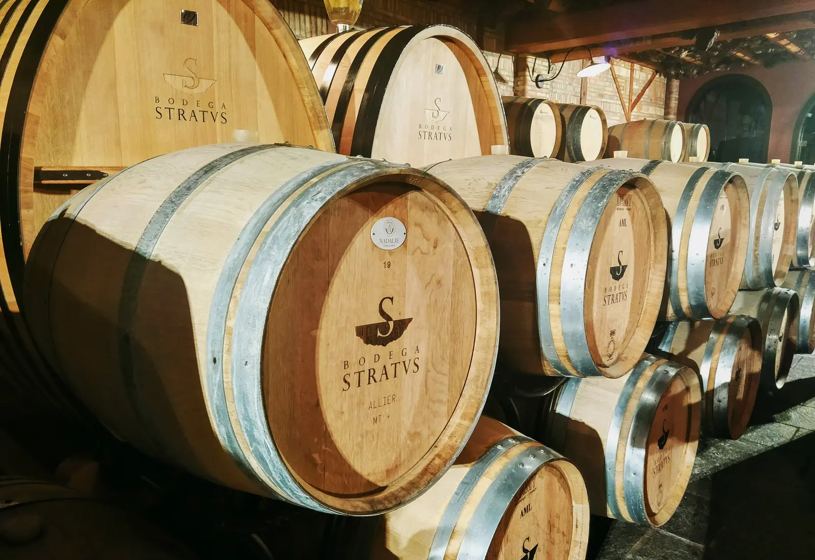 Bodega Stratvs