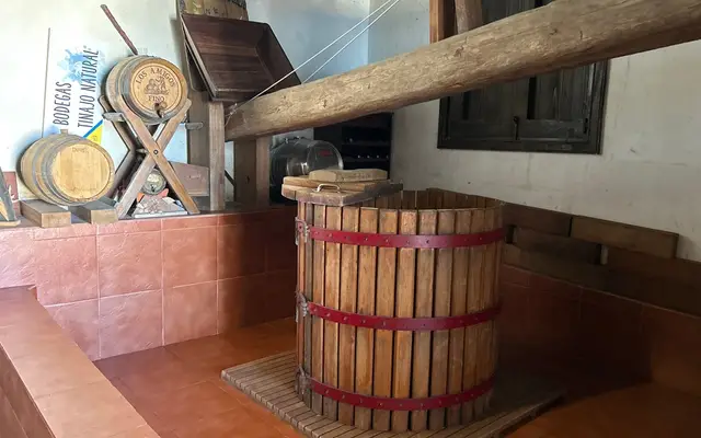 Bodegas Tinajo Natural