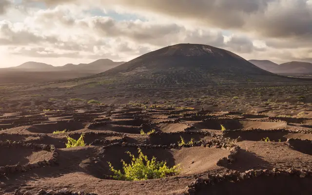 Bodega Vulcano de Lanzarote